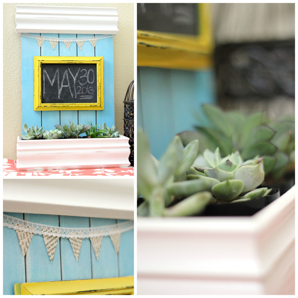 Succulent Planter Collage